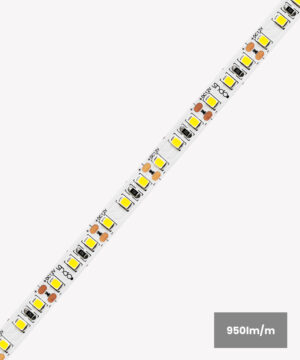 Fita LED 9.6W/m | 50m | 12V