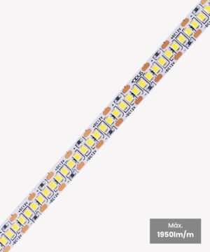 Fita LED 19.2W/m | 5m | 12V