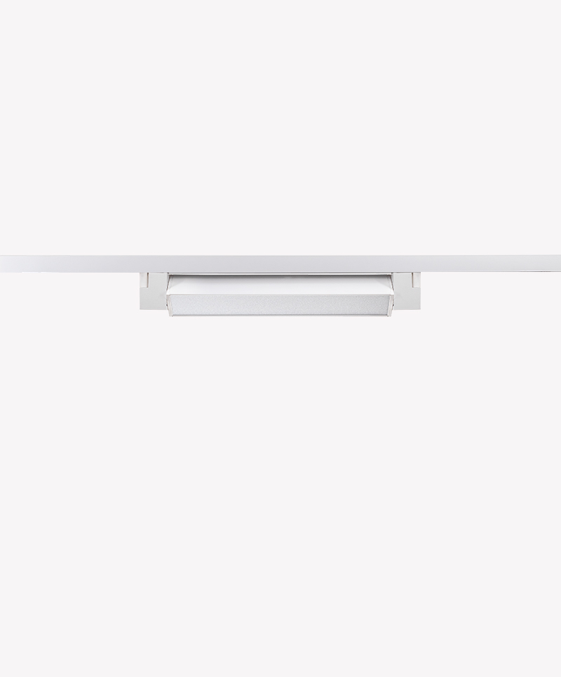 linea-20-b