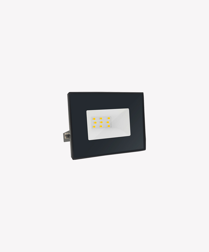 Refletor-10W