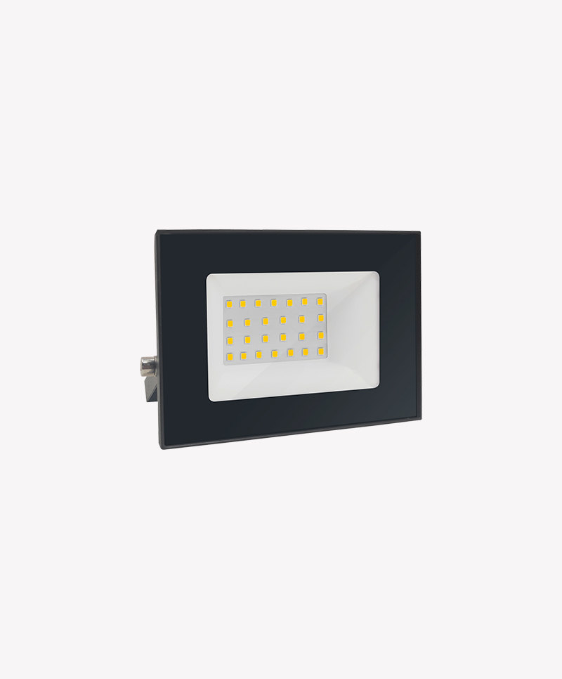 Refletor-30W