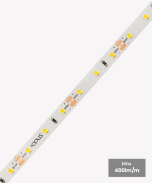 Fita 4.8W/m | 5m | 12V