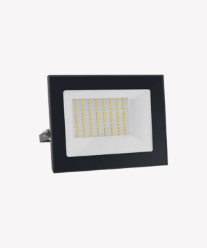 Refletor 100W
