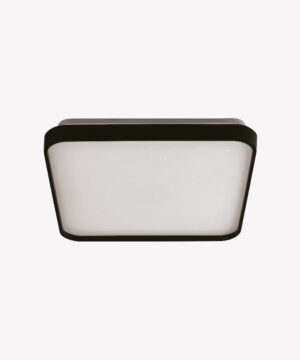 Black 24W