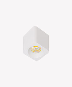 Spot Minima